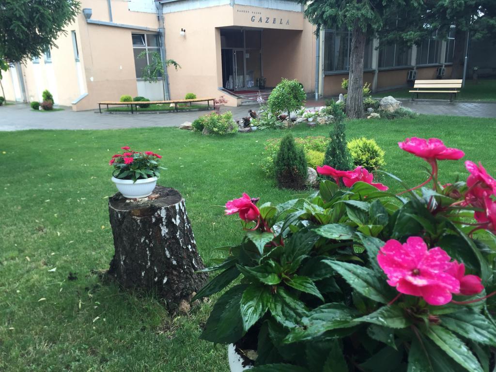 Prenociste Gazela Bed & Breakfast Pirot Ngoại thất bức ảnh