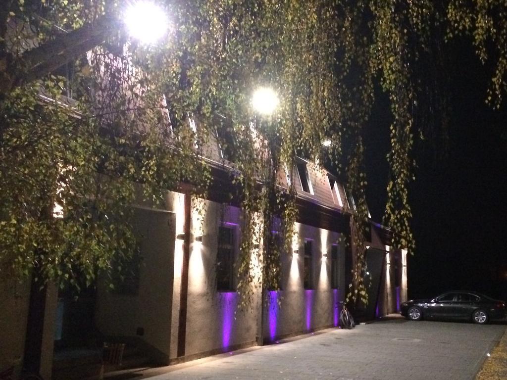 Prenociste Gazela Bed & Breakfast Pirot Ngoại thất bức ảnh